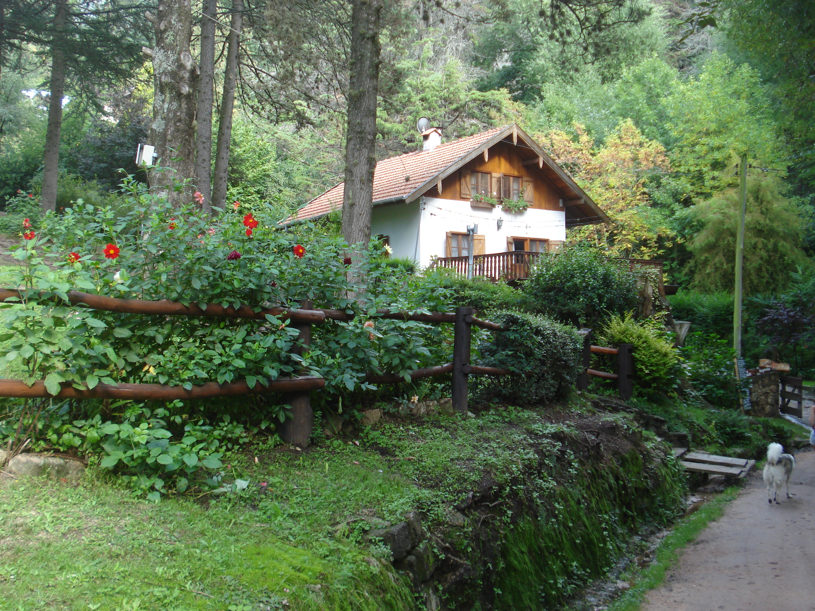 fotos/2011 - Los Reartes/DSC00475.JPG